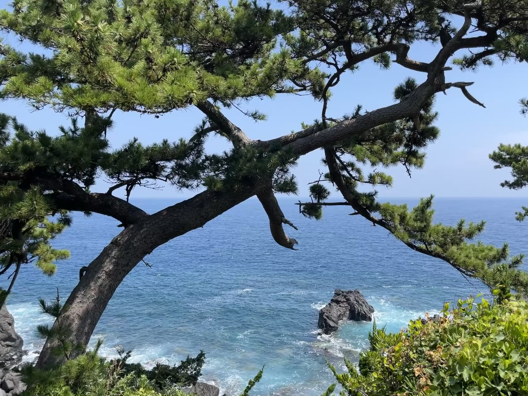 Izu Kogen Summer Camp 1